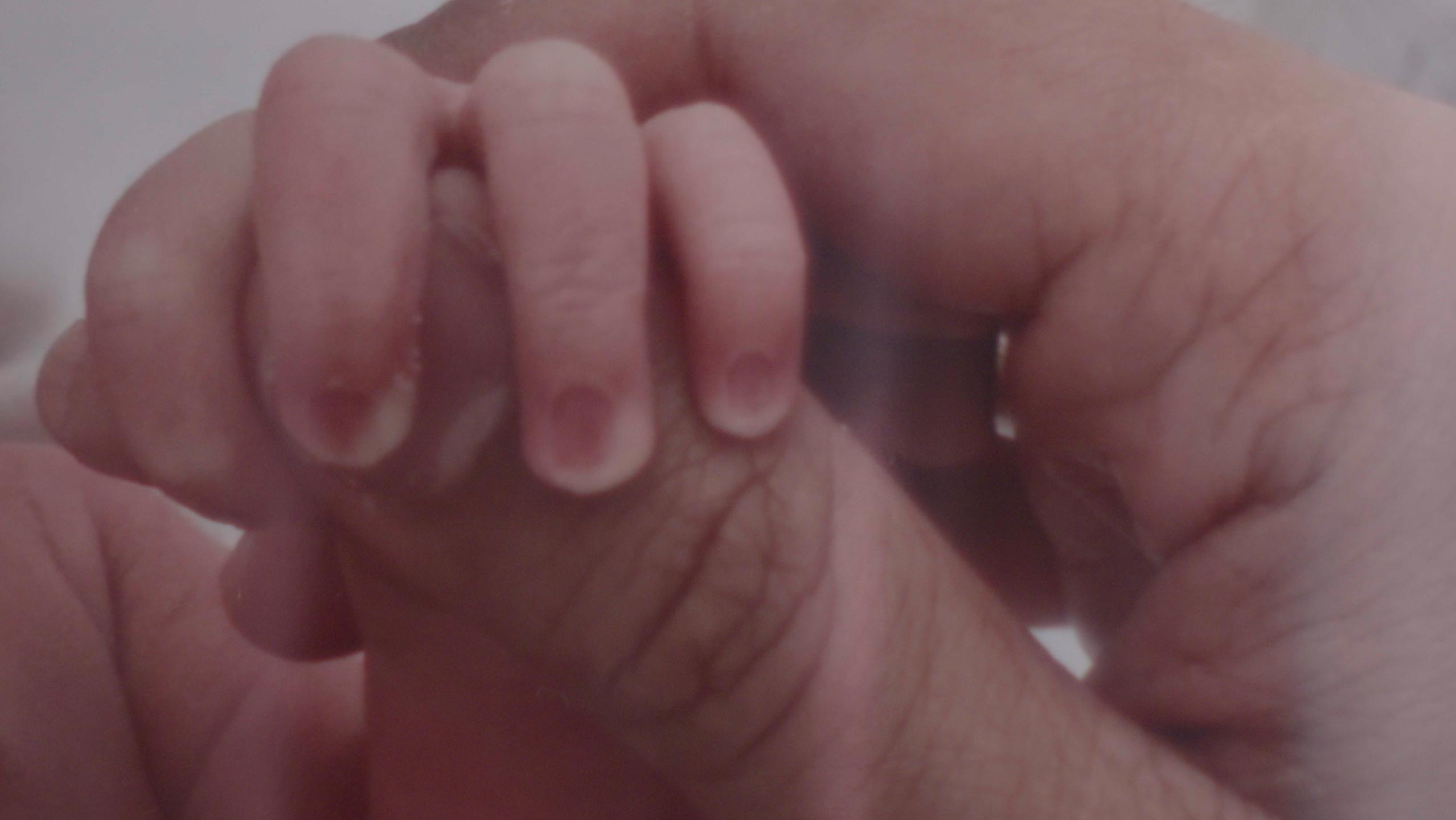 Blessed Michael McGivney's Little Secretary: The Life of Baby Josephina